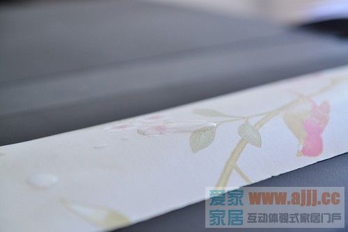 打造“新中式”室内环保空间 玉兰•兰亭序墙纸性能评测