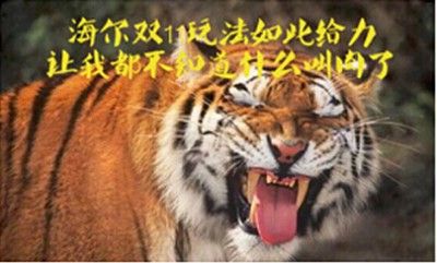 海尔商城双十一,让每个用户嗨起来是我们最大的理想