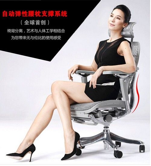 ergonor联友人体工学椅 金豪电脑椅 畅销全球