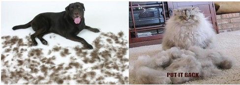 你为什么需要一台扫地机器人?