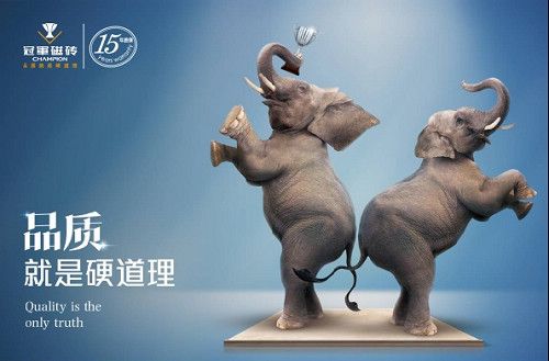 邀请陆地最大动物“大象”验证冠军磁砖品质