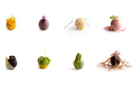 米其林大厨江振诚丨与伊莱克斯相遇是一种必然的缘分