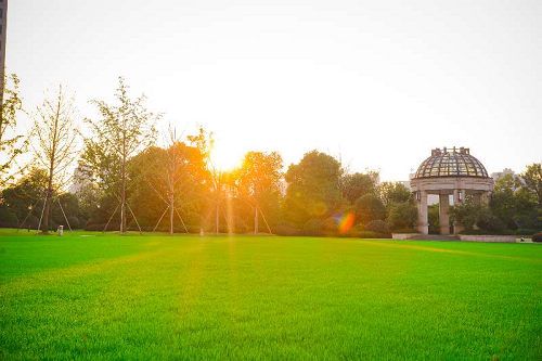 鉴证奔跑中的新力|新力|物业|爱家家居网 互动体