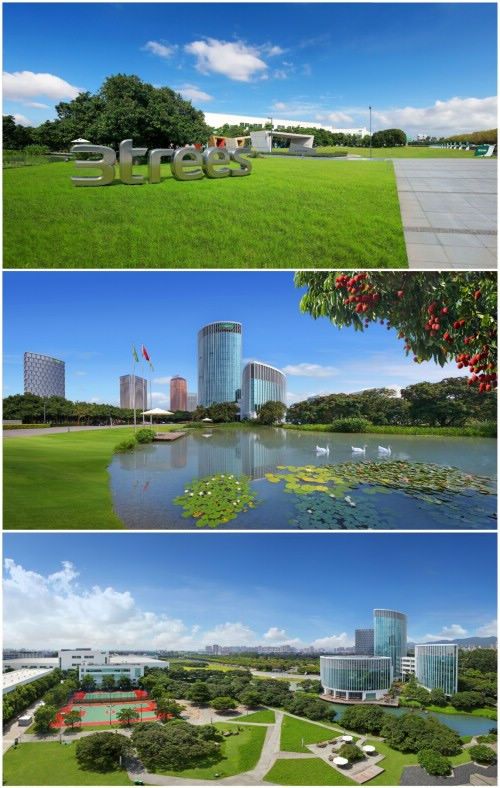 涂料企业竟然可以这么美?三棵树新颜值颠覆你想象