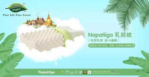 谁能想到年轻的秘密藏在一个乳胶枕里面