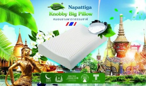 谁能想到年轻的秘密藏在一个乳胶枕里面