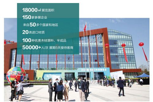 链接全球,首届国际进口木材贸易博览会引领木业创新发展。