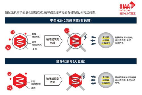 对病毒有效的天然木地板,在中国可以买到!