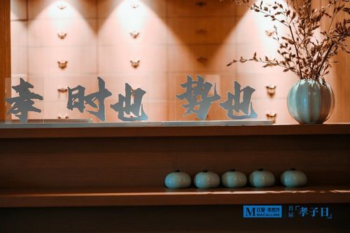 让孝成为时代之光 “孝子日”首次设立,红星美凯龙重新定义新时代的“孝”
