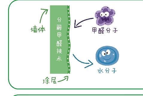 墙面涂料选不对,就是“甲醛制造器”