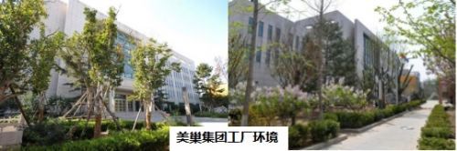 美巢作为环保家居守护者,以绿色发展赋能企业实现双碳目标