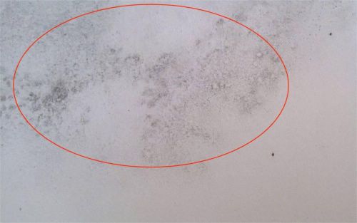 担心墙面返潮发霉?三步妙招学起来,美巢包你居家无忧