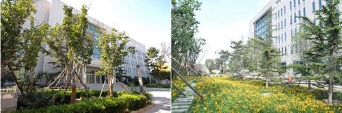 践行可持续发展理念,美巢全链路打造环保健康人居环境