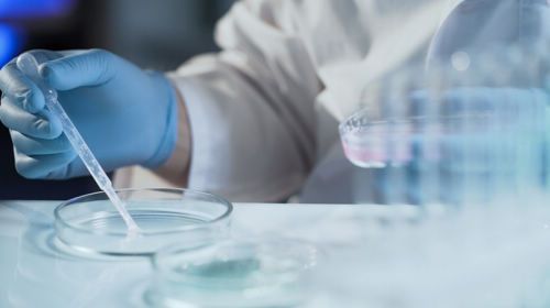 绿色环保观念深入人心,美巢成为环保家居守护者