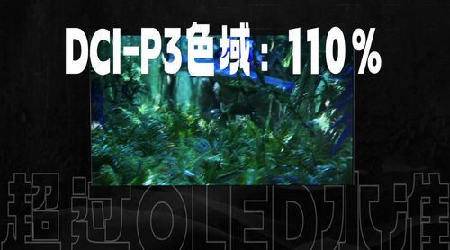 专业科技媒体带你体验“大大卷”—普通住宅也能安装的超百吋大屏电视