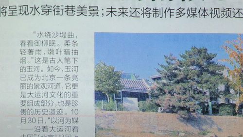 专业科技媒体带你体验“大大卷”—普通住宅也能安装的超百吋大屏电视