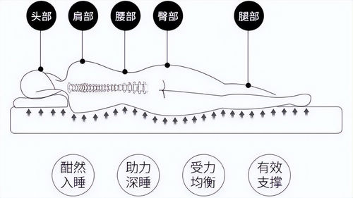 世界睡眠日丨生态为本,健康为核,优质睡眠中车大自然解决方案