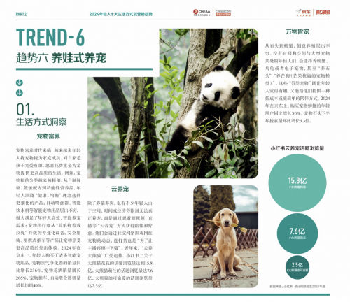 探查Z世代的新颖需求,京东成为家电精准营销的先锋官