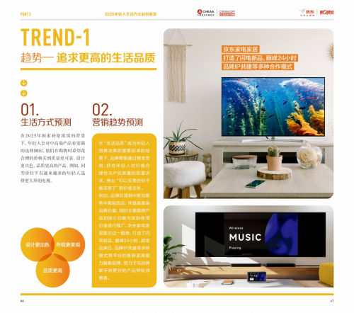 探查Z世代的新颖需求,京东成为家电精准营销的先锋官
