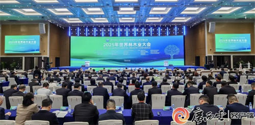 2025年世界林木业大会暨2025年广西国际林产品及木制品展盛大举办