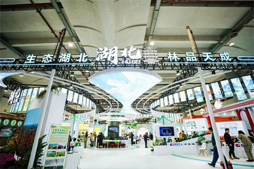 2025年世界林木业大会暨2025年广西国际林产品及木制品展盛大举办