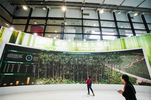 2025年世界林木业大会暨2025年广西国际林产品及木制品展盛大举办