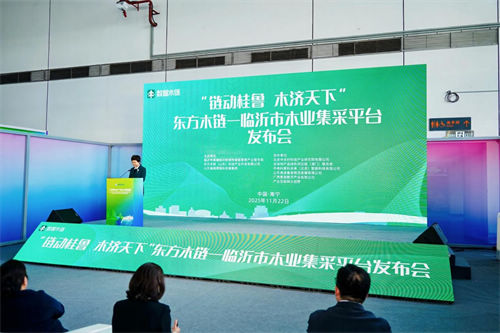 2025年世界林木业大会暨2025年广西国际林产品及木制品展盛大举办
