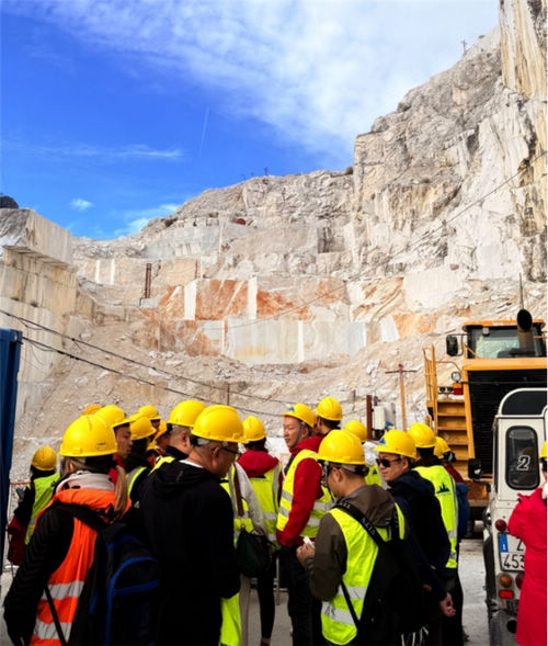 红星美凯龙M+高端设计中心携威罗开展意大利材料溯源行以“源头—方法—现场”构建设计师友好型供给体系